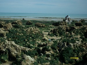 Aujourd'hui, c'est toi le scientifique du littoral ! @ Parking de l'Huîtrière | Hautot-sur-Mer | Normandie | France