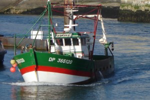 arrivee du paskisa