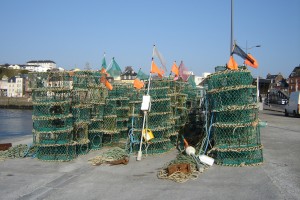 casiers seiche quai