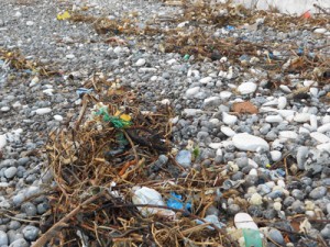 Jardin des mers : Activité eolienne