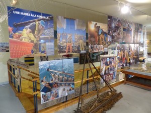 Exposition " Une marée à la coquille..." @ ESTRAN Cité de la Mer