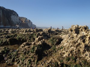 Parcours du littoral à marée basse à Dieppe @ promenade de la plage face au restaurant "Le Bas Fort Blanc" | Dieppe | Normandie | France