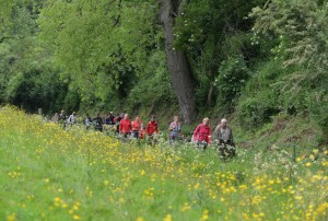 chemin écologique des Fontaines à Dieppe