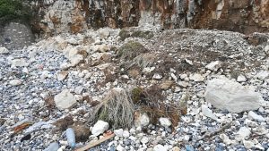 Jardin des mers : Activité eolienne