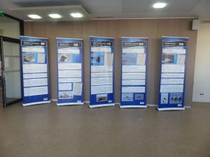 Exposition sur les mammifères marins @ ESTRAN - Cité de la Mer | Dieppe | Normandie | France