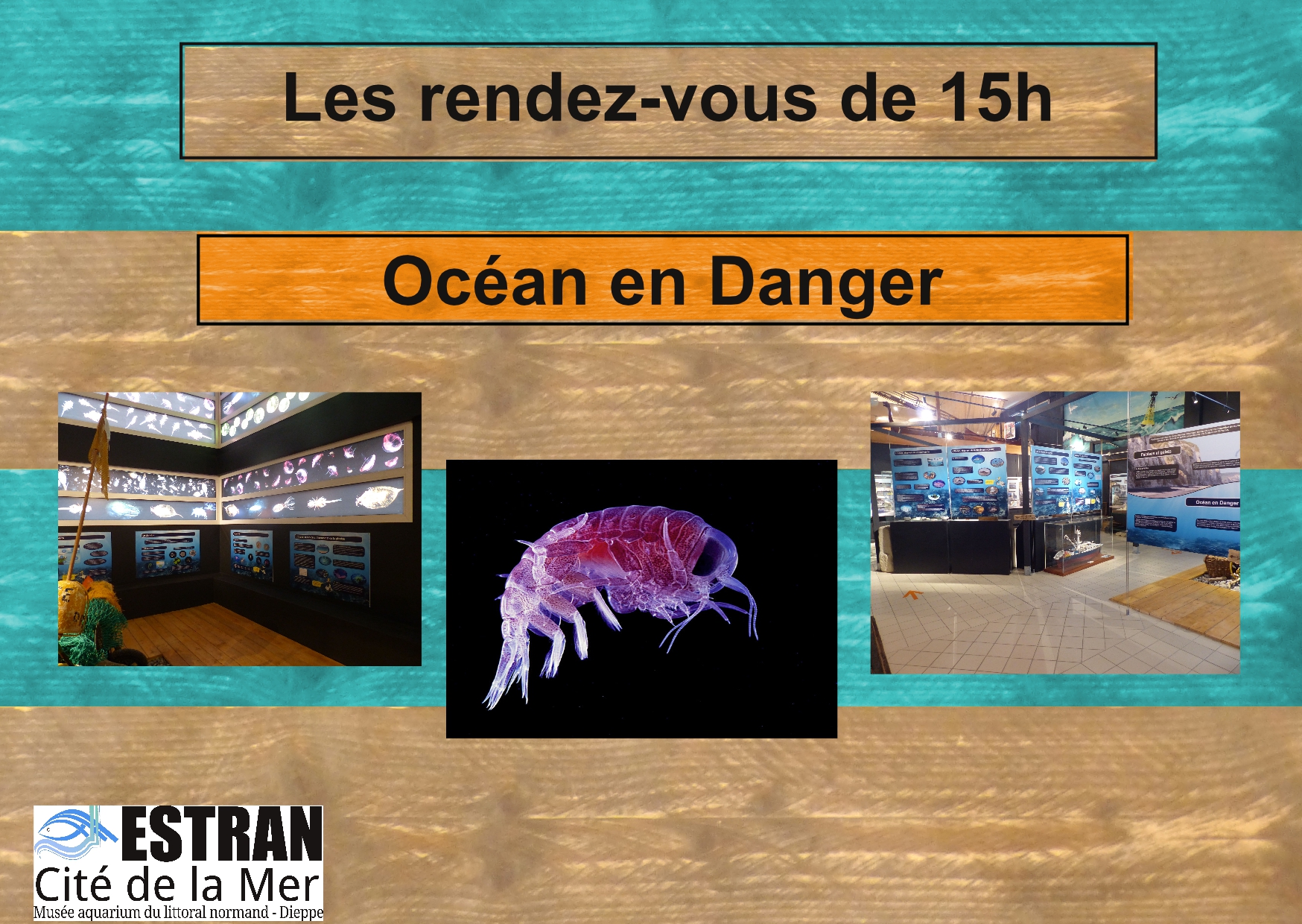 Les Petits Rendez-Vous de 15h "Océan en Danger" @ ESTRAN - Cité de la Mer | Dieppe | Normandie | France