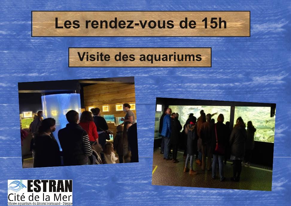 Les Petits Rendez-Vous de 15h "Visite Aquariums" @ ESTRAN - Cité de la Mer | Dieppe | Normandie | France