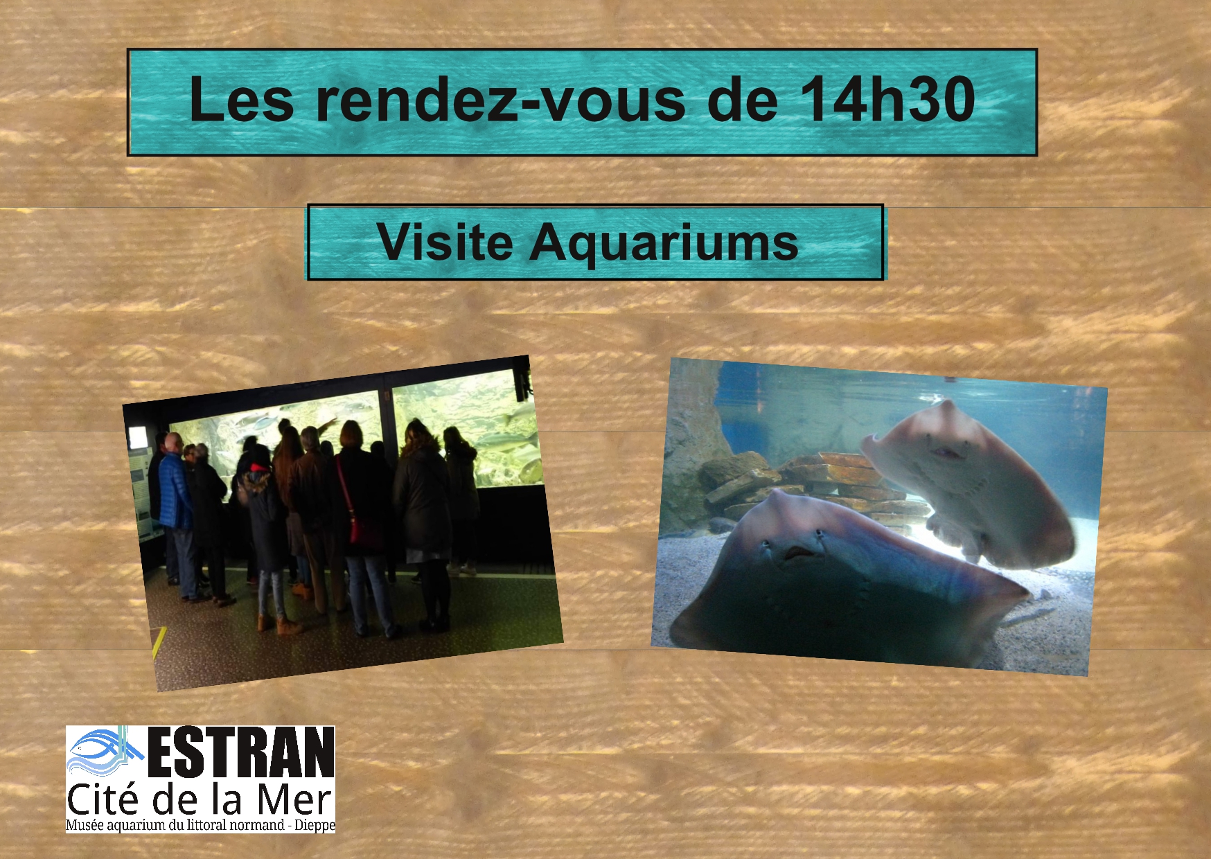 Les Petits Rendez-Vous de 14h30 "Visite Aquariums" @ ESTRAN - Cité de la Mer | Dieppe | Normandie | France