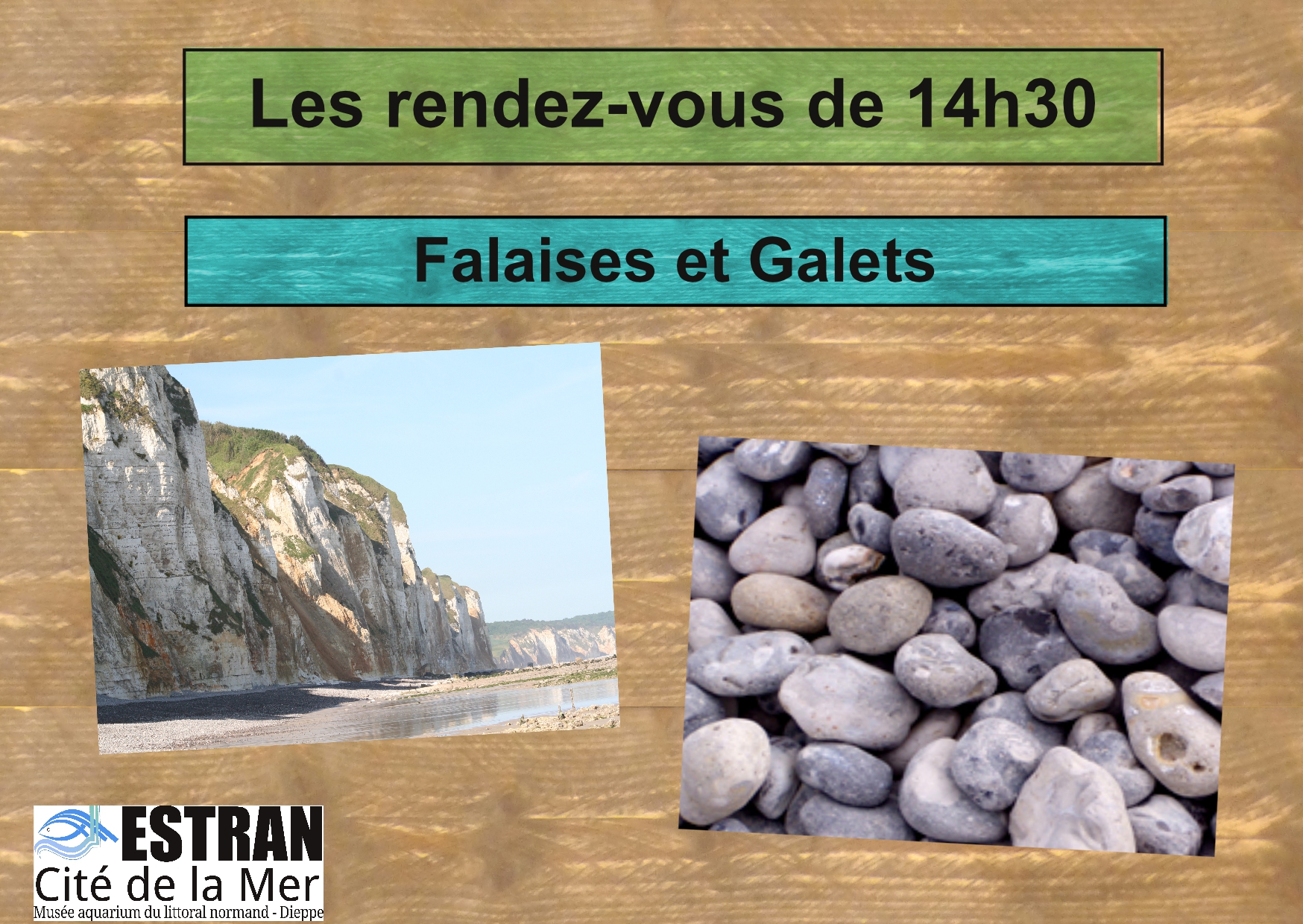Les Petits Rendez-Vous de 14h30 "Falaises et Galets" @ ESTRAN - Cité de la Mer | Dieppe | Normandie | France