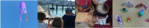 Jardin des mers : Activité "SOS Pêche" @ ESTRAN Cité de la Mer