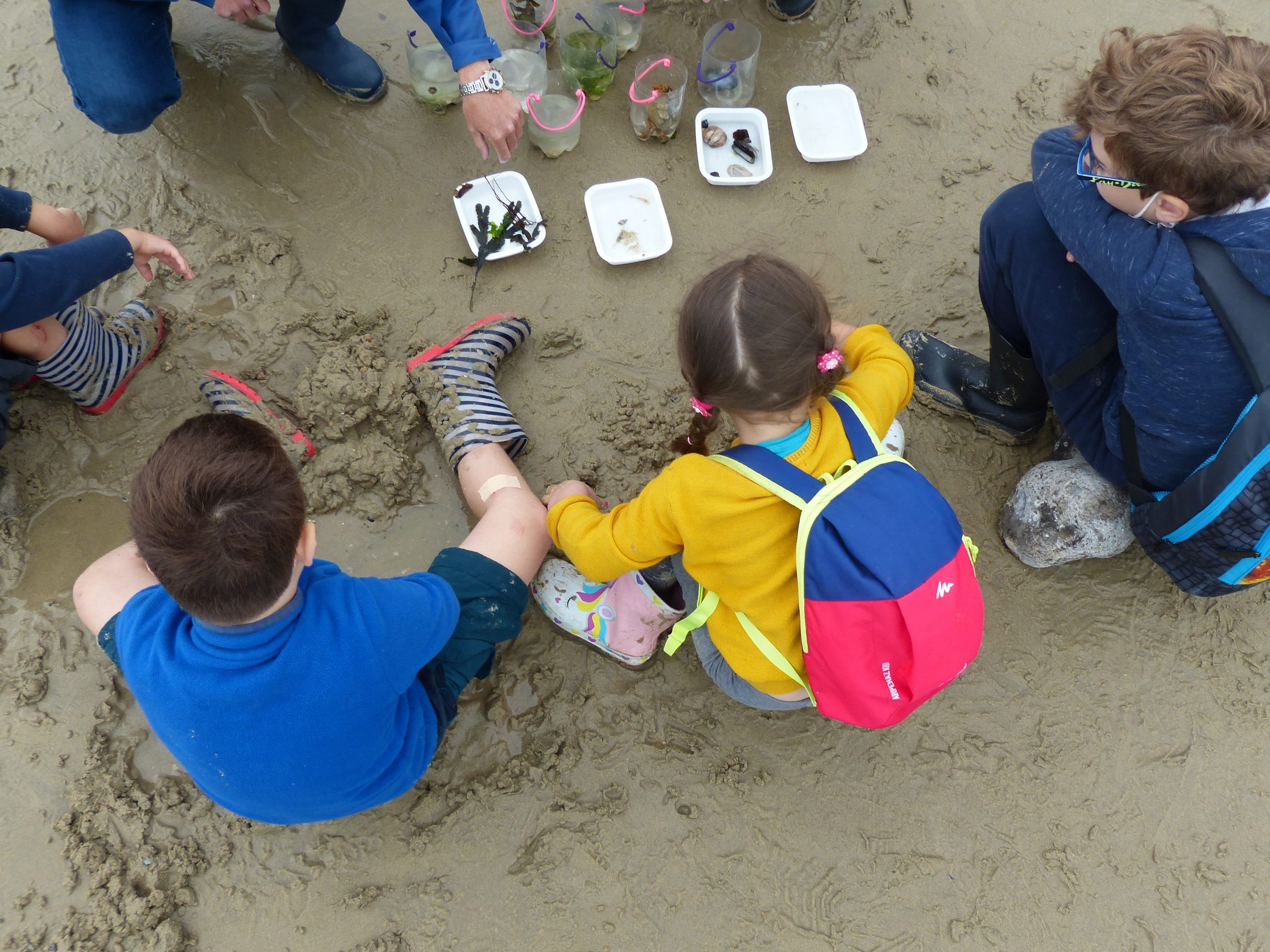 Jardin des mers : Activité Pêche à pied @ ESTRAN CITE DE LA MER